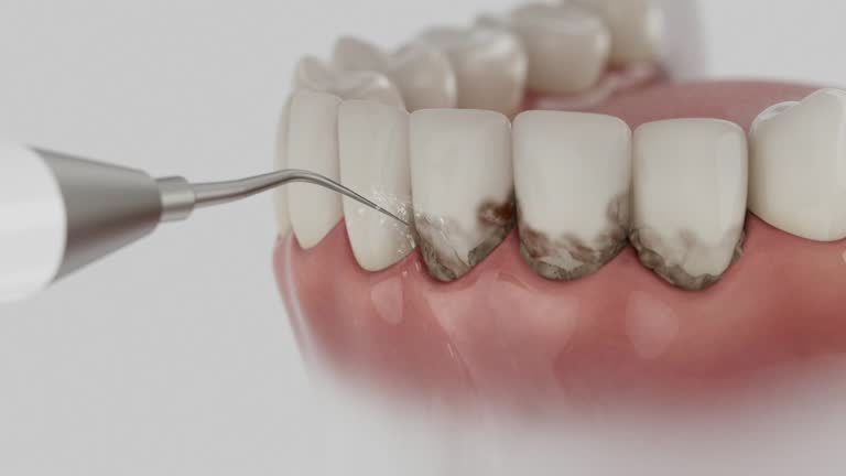 Reliable Dental contractor in Highpoint, OH by Dentist Open Now